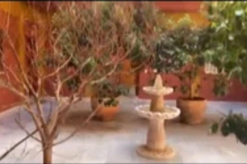 Relator Apartament