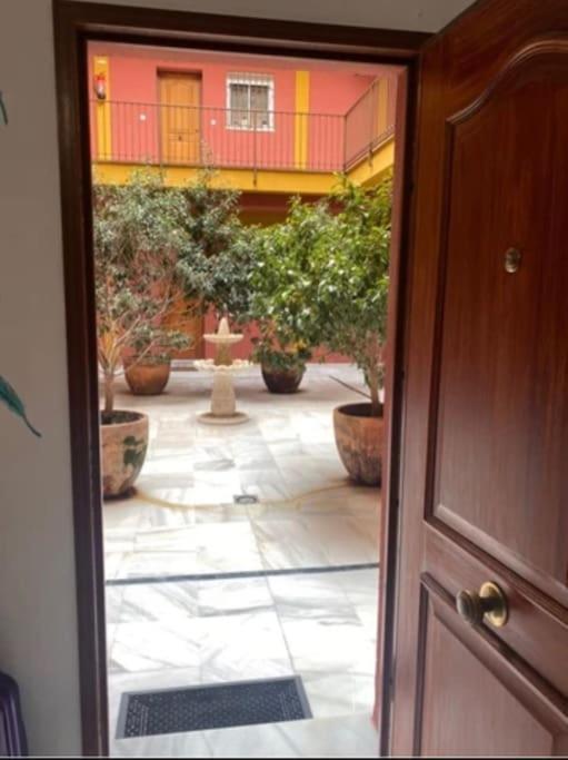 Relator * Siviglia